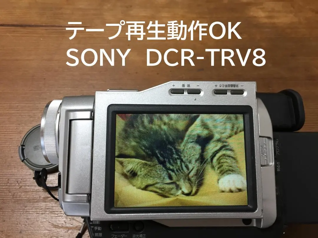 2026年最新】DCR-TRV10の人気アイテム - メルカリ