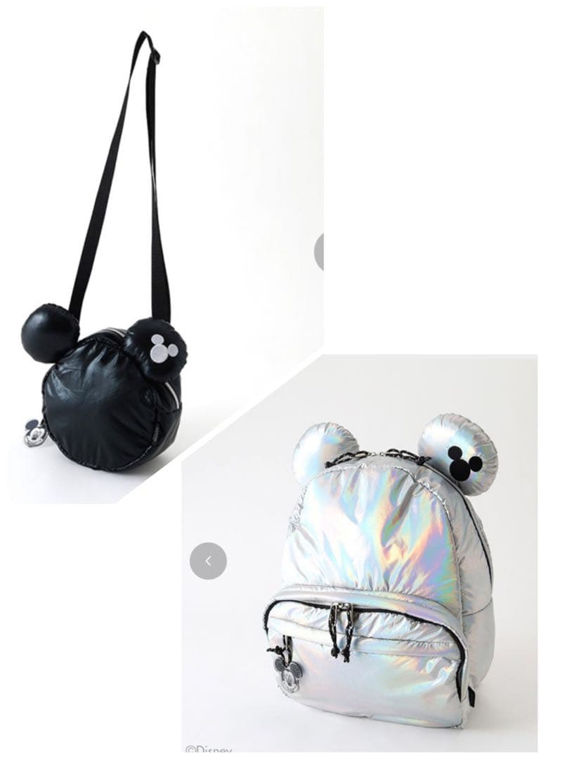 ミッキー バッグ ディズニー 100周年 ショルダー リュック ミニー 匿名