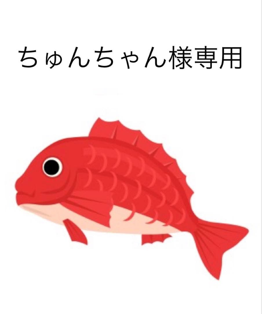 タイラバ　タングステン　専用ページ タングステン (75g) タイラバ ヘッド 鯛ラバ シンカー 保護チューブ付